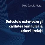 Defectele exterioare și calitatea lemnului la arborii izolați