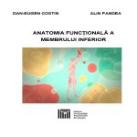 Anatomia funcțională a membrului inferior
