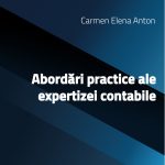 Abordări practice ale expertizei contabile