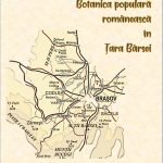 Botanica populară românească în Țara Bârsei