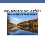 Descrierea speciilor de păsări din habitate forestiere